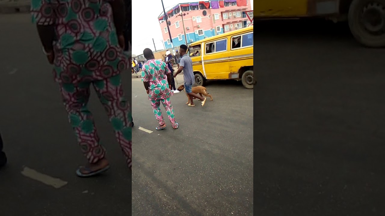 Protests in Irawo Owode mile 12,(3)