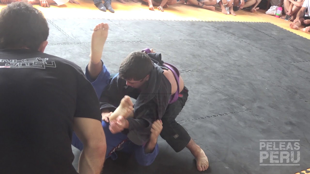 Luis Miguel Rosales vs Jose Andres Diaz. Jiu Jitsu Dojo PH 2018 Final Morados contactor purpose