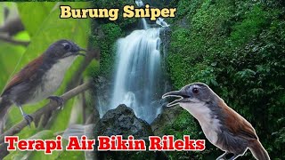 Tembakan burung Sniper ‼️💯 Terapi Air