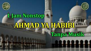 Ahmad Ya Habibi Tanpa Musik - 1 Jam Nonstop