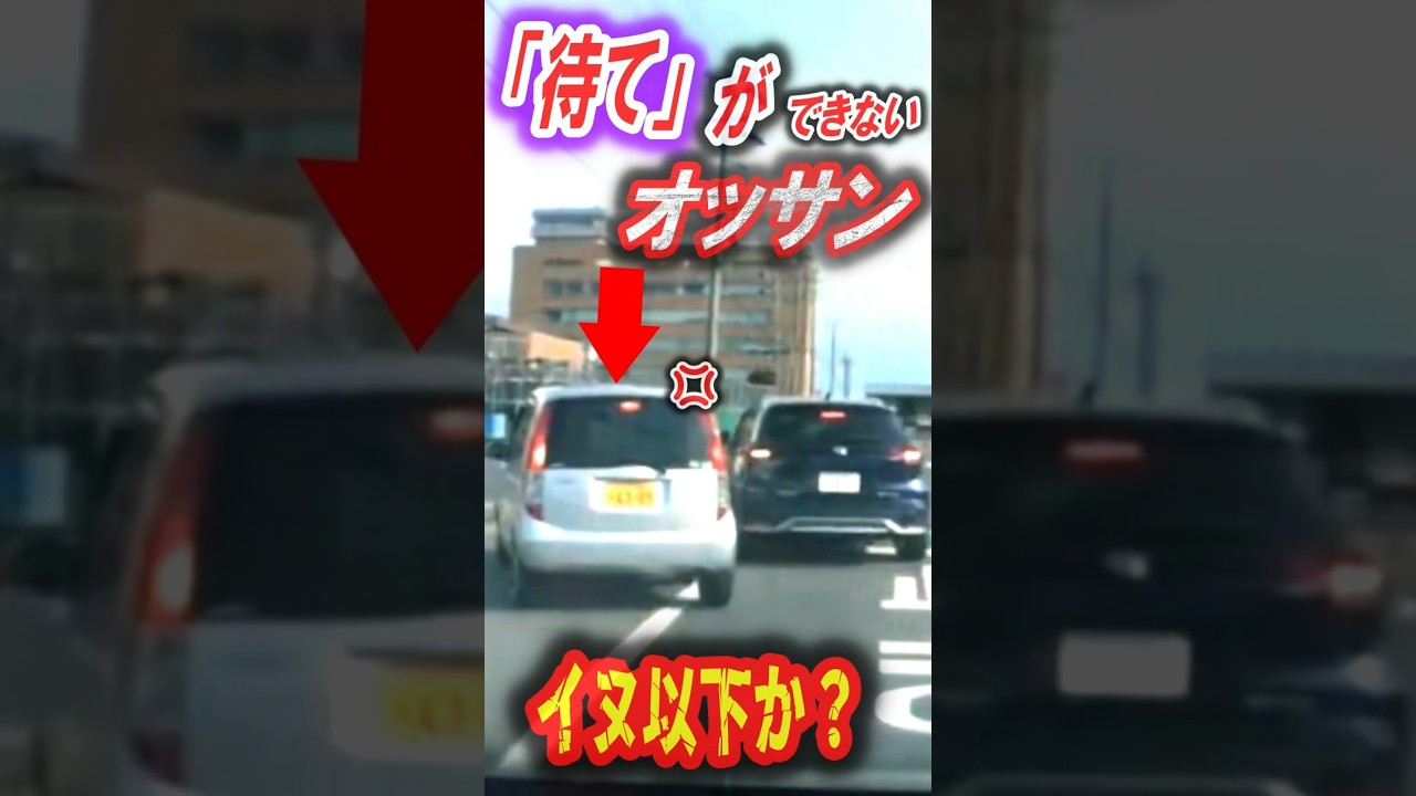 【ドラレコ】犬でもできる「待て」ができない…強引すぎるすり抜け左折に周囲もドン引き。