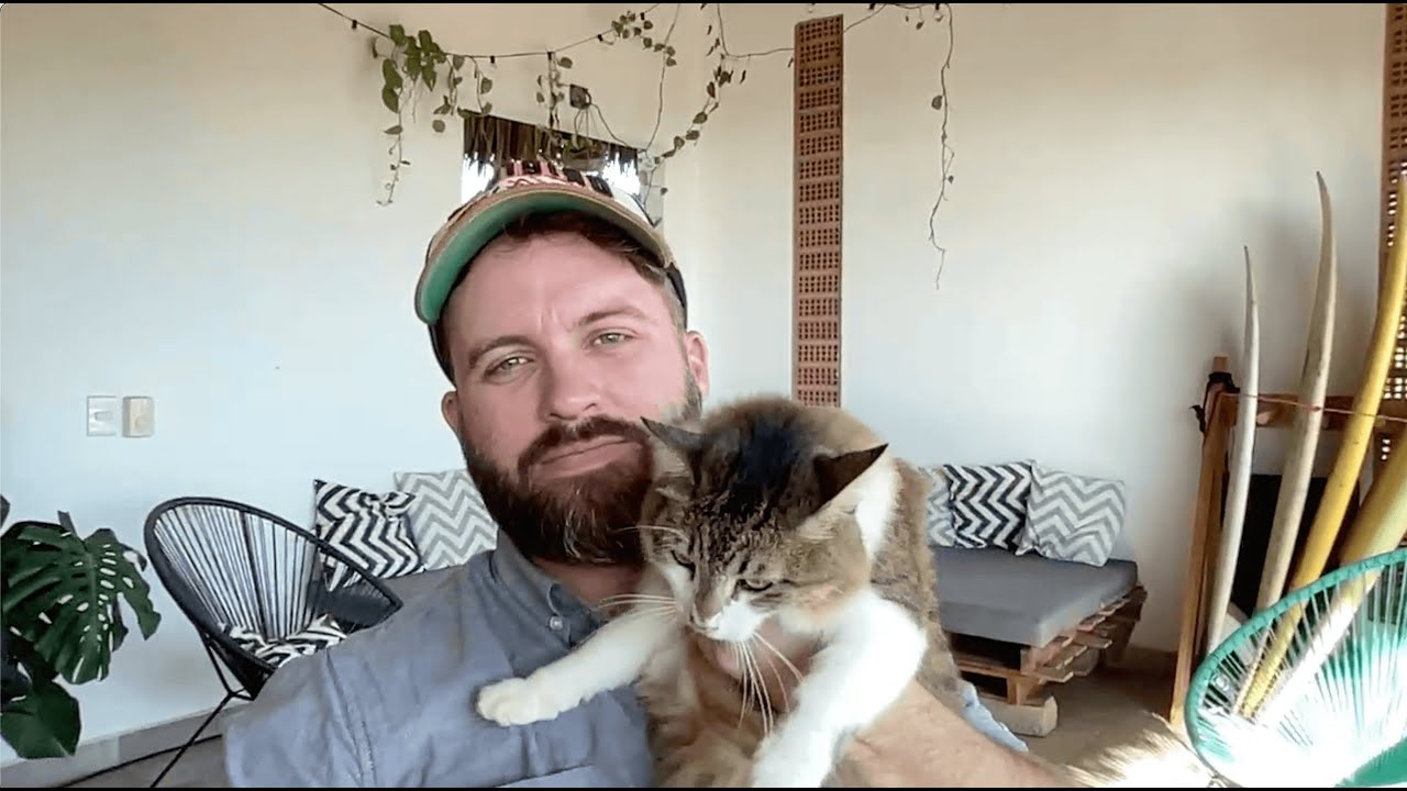 Introducing Pest Engine: Marketing Solutions for Pest Control