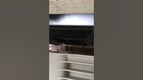 Red wine grapes from a crusher