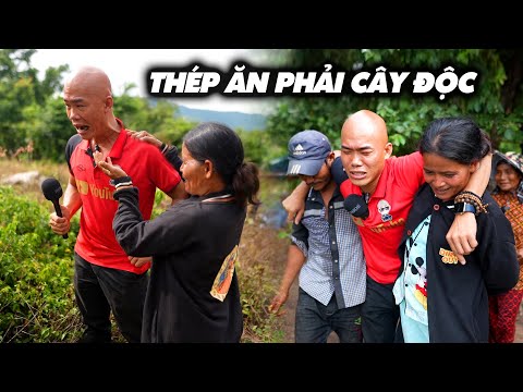 Video: Sửa Cây Bị Thương - Bạn Có Thể Gắn Lại Thân Cây Bị Chặt Không?