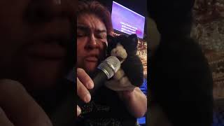 Mother Tucker the Singing Cat - Black (Pearl Jam cover)