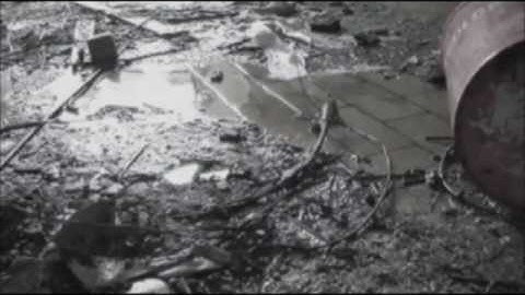 Library Tapes - Fragment VIII