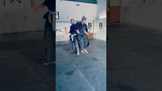 Aikido Chudan Tsuki Kotegaeshi Resimi