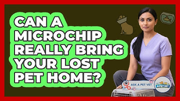 Can A Microchip Really Bring Your Lost Pet Home? - Ask A Pet Vet