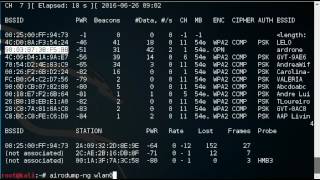 Parrot ARDrone 2 - Denial of Service (DoS) Attack
