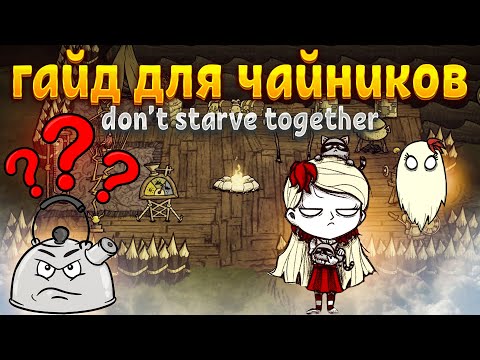 ЛУЧШИЙ ГАЙД  ОТ ПРОФИ ДЛЯ НОВИЧКОВ  в Don't Starve Together