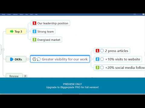 Strategic Planning with MindManager (PREVIEW)