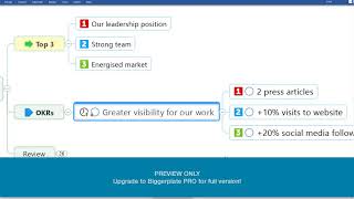 Celebrity Strategic Planning with MindManager (PREVIEW) Profile