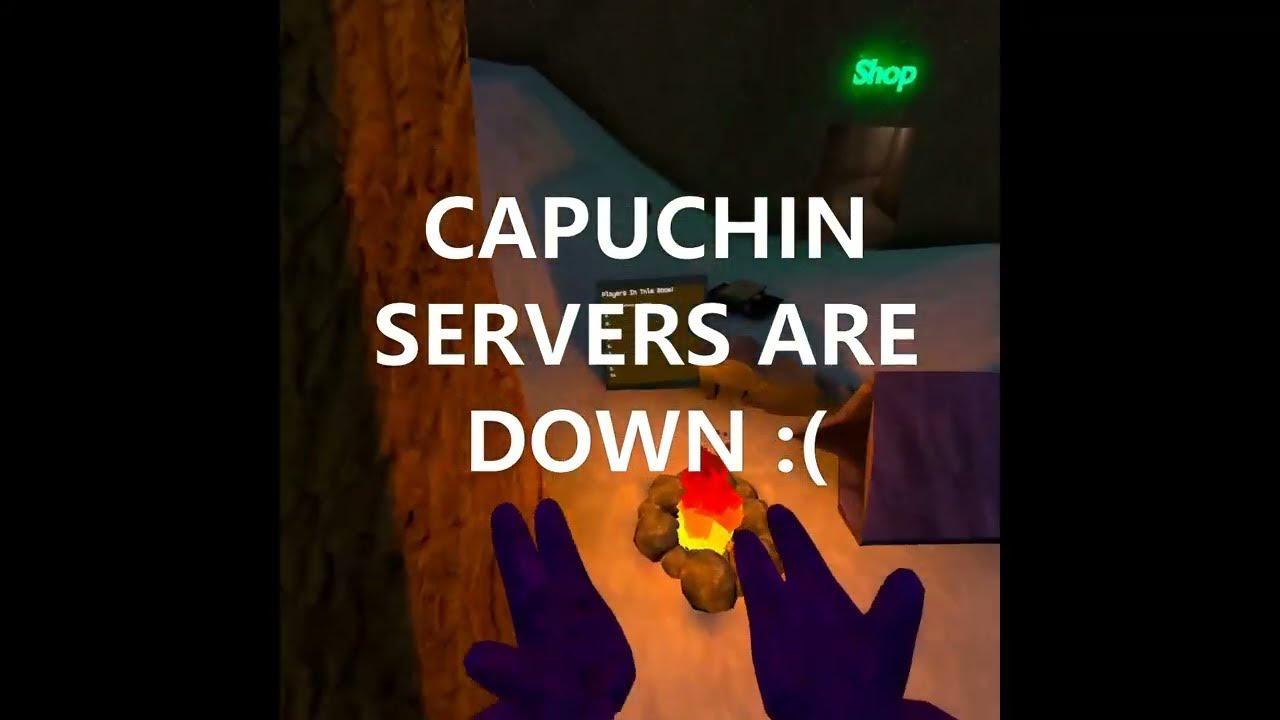 CAPUCHIN SERVERS ARE DOWN YouTube