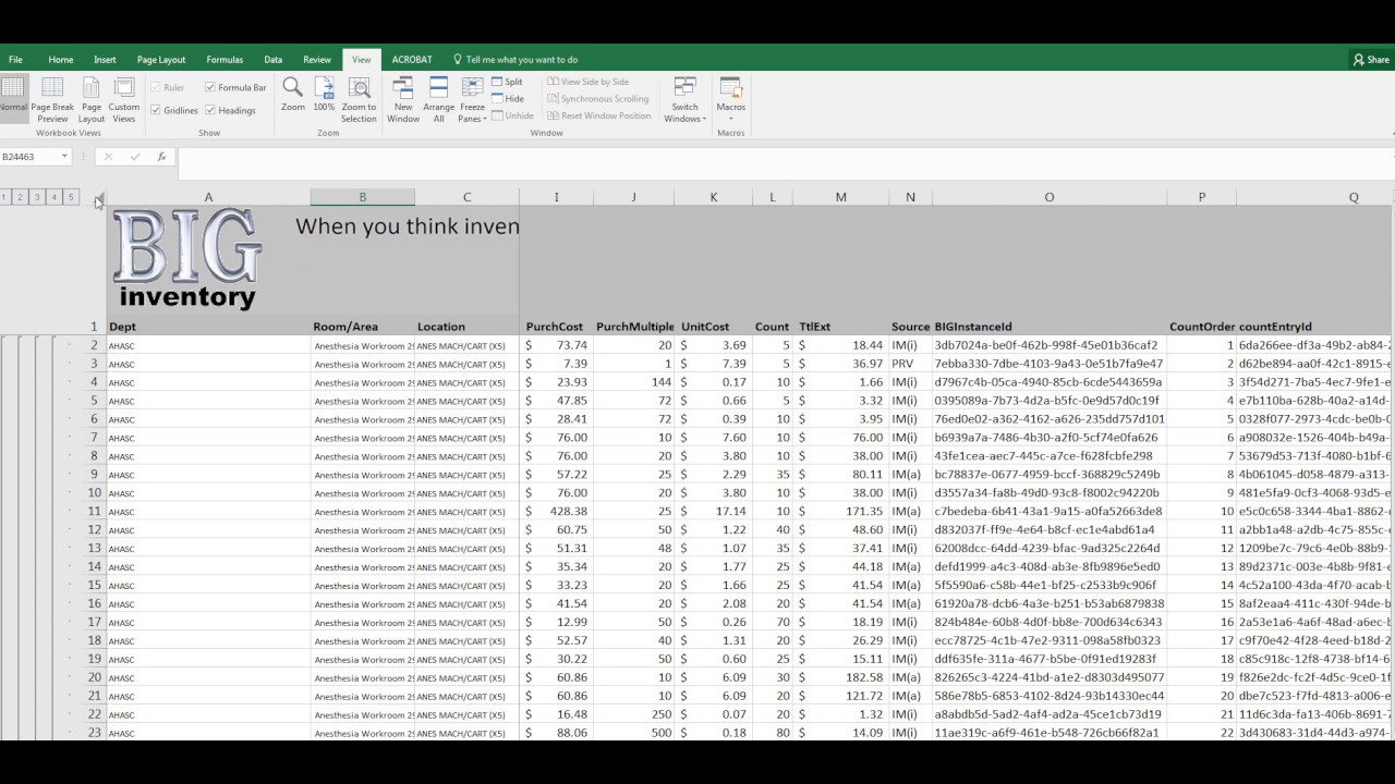 BIG Inventory UDI Location Review