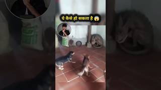 Mysterious Animal 😰😱 | #mysterious #shorts