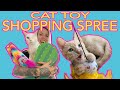 Petsmart shopping spree for my cats