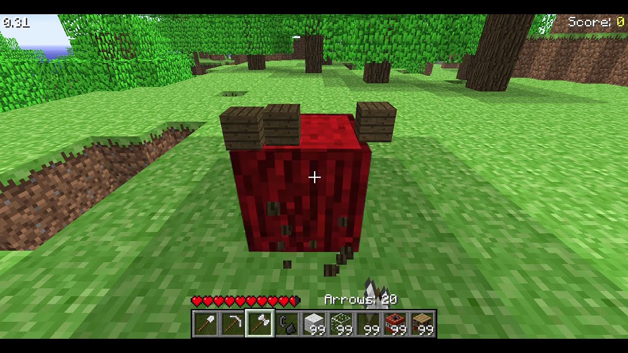 Minecraft Indev 0.31 Visual Glitch