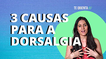 Qual a função da coluna torácica?