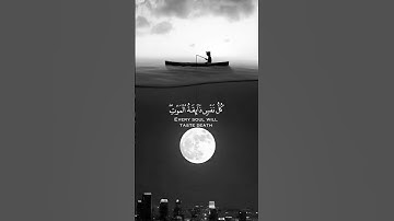 قران كريم بصوت #عبدالرحمن_مسعد #عبدالرحمن_مسعد_تلاوة_جديدة #كل_نفس_ذائقة_الموت