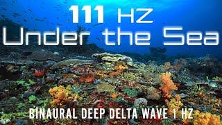 Under The Sea | 111Hz Binaural 1Hz Deep Delta Waves | Ocean˖Whale˖Orca˖Fish Sounds | Deep Sleep |