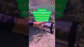 കടലിനടിയിലെ കാഴ്ചകൾ കണ്ട് ‘ബേബേ’ തത്ത | Pet parrot | Mini Submarine | Under water exploration