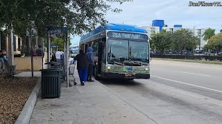 MDT Bus Spotting #29 | Metrobus Edition (Miami-Dade Transit)