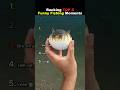 Ranking TOP 5 Funny Fishing Moments #usa