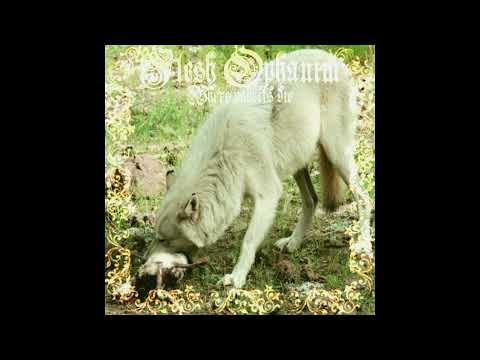 Maw of anfang - Where Rabbits Die (Full- Length: 2026)