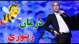Hasan Reyvandi  Concert 2020 | حسن ریوندی  درمان زنبوری