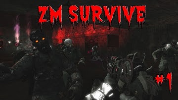 Call of Duty Custom Zombies: ZM Survive - AAAHHHHHHHH (Part 1)