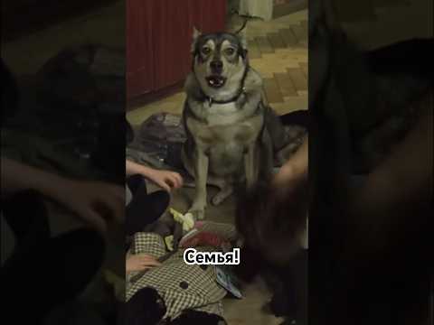 Отцовская любовь. #советскиефильмы #советскиеактеры #кино #short #фильмы #shortvideo
