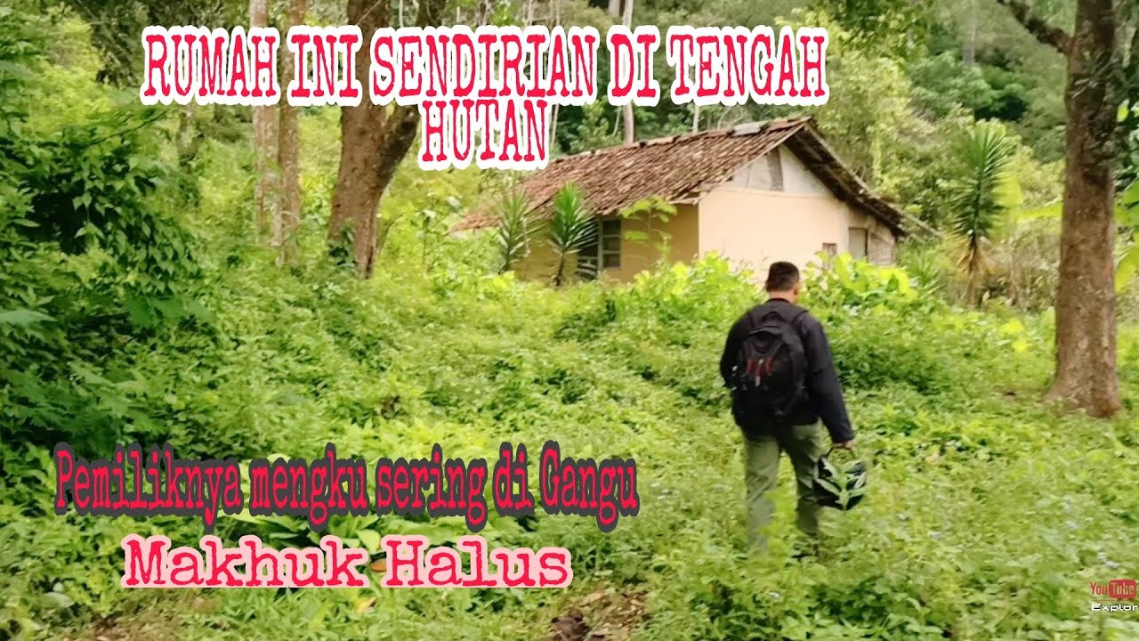 Rumah Sendirian Di Tengah Hutan - YouTube