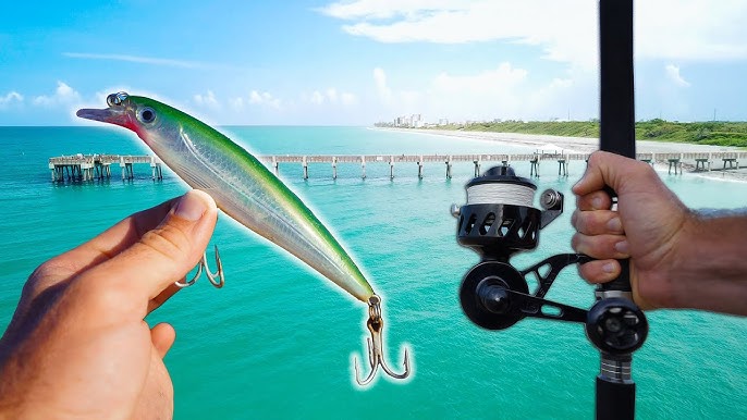 Live Shrimp Bait Catches STUD Pier Fish! (Florida Pier Fishing