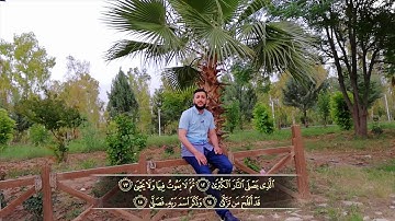 القارئ مصطفی فاروق الکردی سورة الاعلی