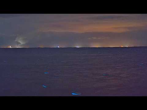 Aug 26, 2026: Bioluminescent Water Glows as Thunderstorm Rages Over Florida | Indian River Lagoon