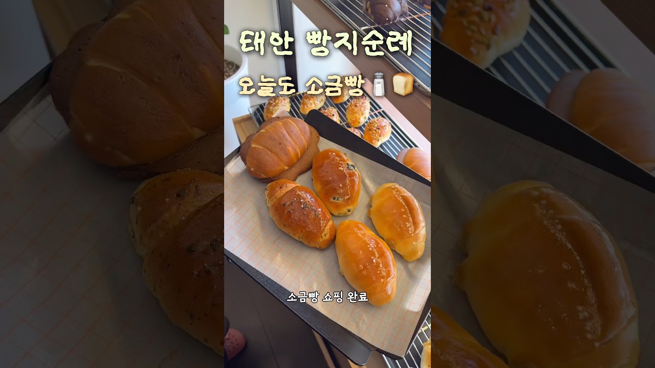태안 소금빵 맛집🍞 #빵지순례 #소금빵 #태안맛집 #태안여행 #오늘도소금빵 #올리브 #바질 #모카 #shorts #맛집추천 #태안소금빵