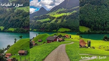 المصحف المرتل للشيخ رشيد بلعشية ((سورة القيامة))