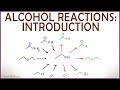 Introduction to Alcohol Properties and Reactions