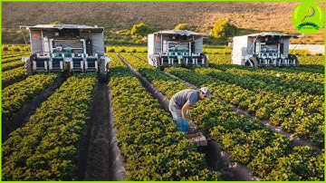 How Robots Are Changing The Farming Industry #4  Modern Agriculture