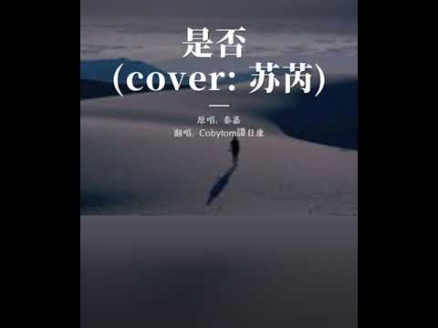 是否 live by Coby Tom Conrad 譚日康（原唱 蘇芮）歌詞版
