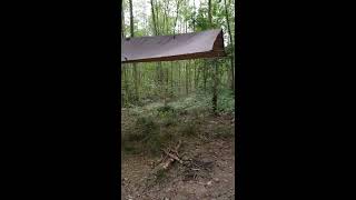 How to put up a high shelter tarp.