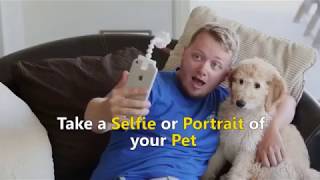 Flexipaw Selfie helper screenshot 5