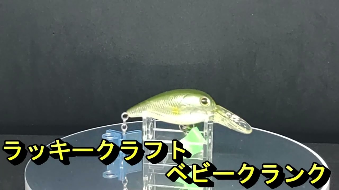ラッキークラフト エバーグリーン 4個セット｜Yahoo 45SR⁄DR ベビー