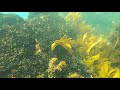 gopro 9 5k mode horizon leveling underwater test 1.