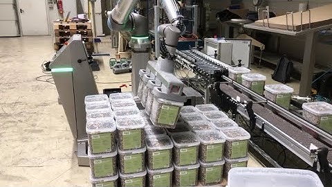 Palletizing Robots | Various Grippers | Automated End-of-Line Solutions