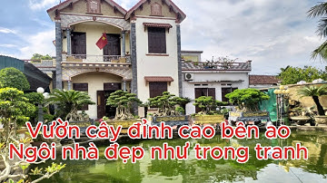 Vườn Cây Cảnh Quê Nhà Đẹp Như Tranh-Có Ao Nước Trong, Nhà Đẹp, Không Gian Thơ Mộng#bonsai #caycanh