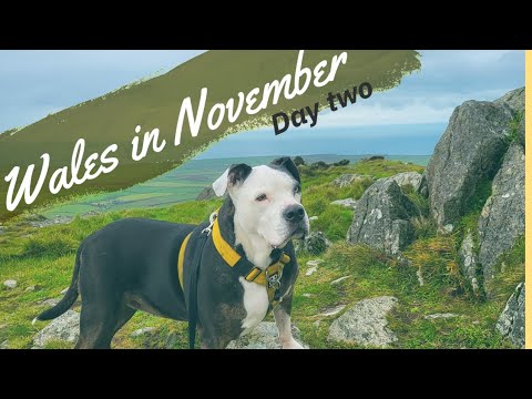 Exploring the Beauty of Wales: From Peaks to Shores with My baby Coco