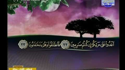 سورة القلم 1 الى 52 ــــ مفتاح السلطنى