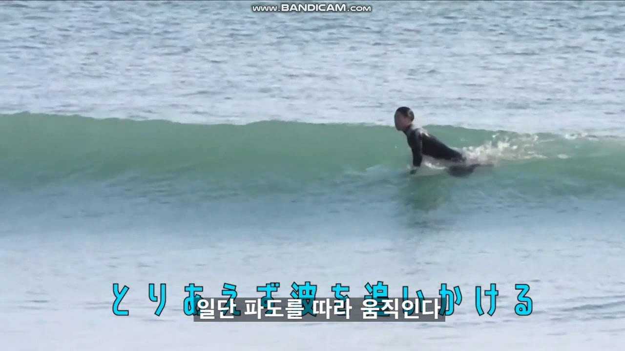 서핑시 자주하는 실수(번역)