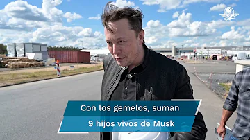 ¿Elon tiene gemelos?